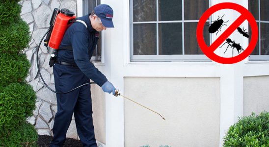 Karaçoban Gümüşkurt İlaçlama böcek ilaçlama ve haşere kontrolü — ilaclama-tr.com